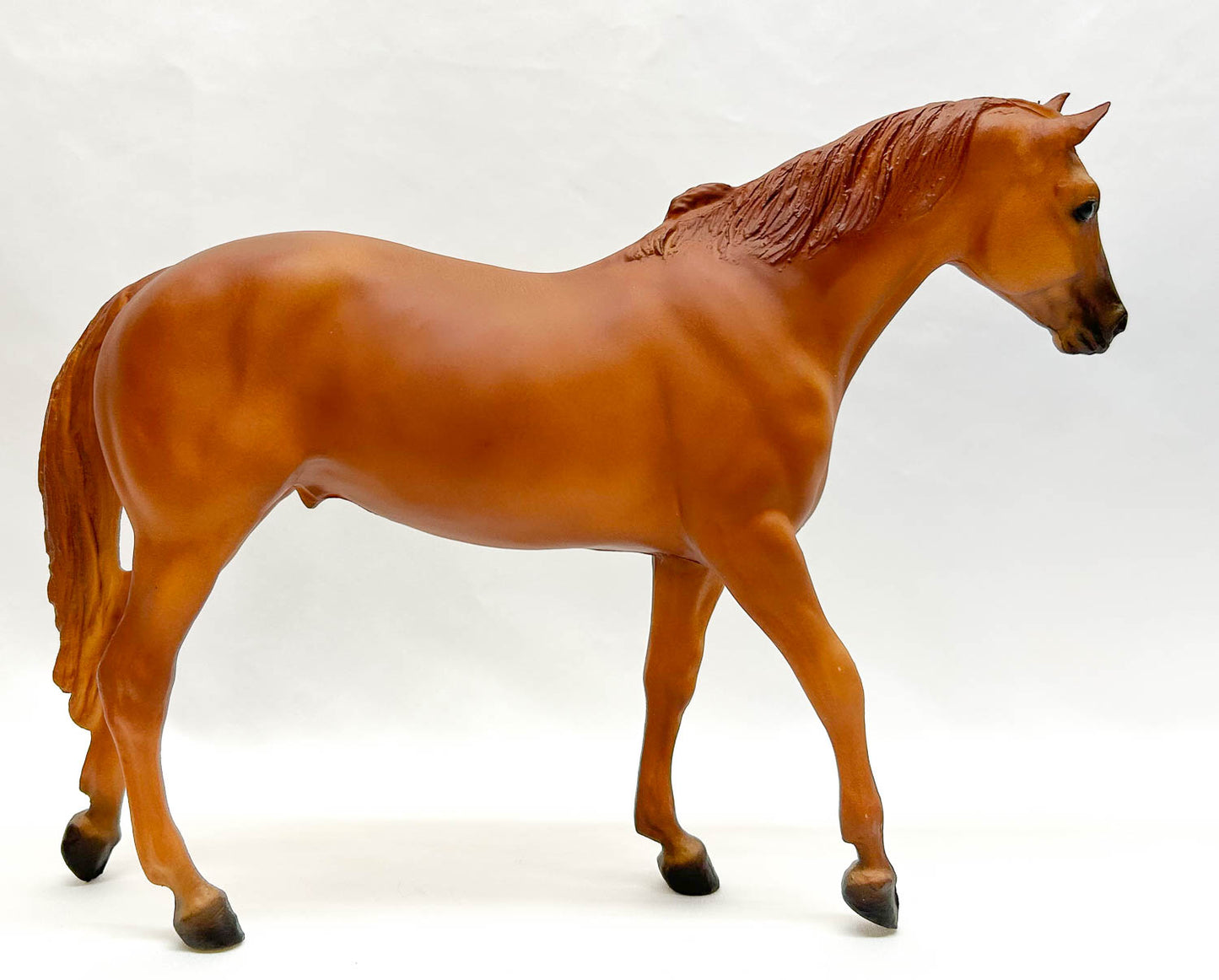 San Domingo ~ Pilgrim - "The Horse Whisperer"