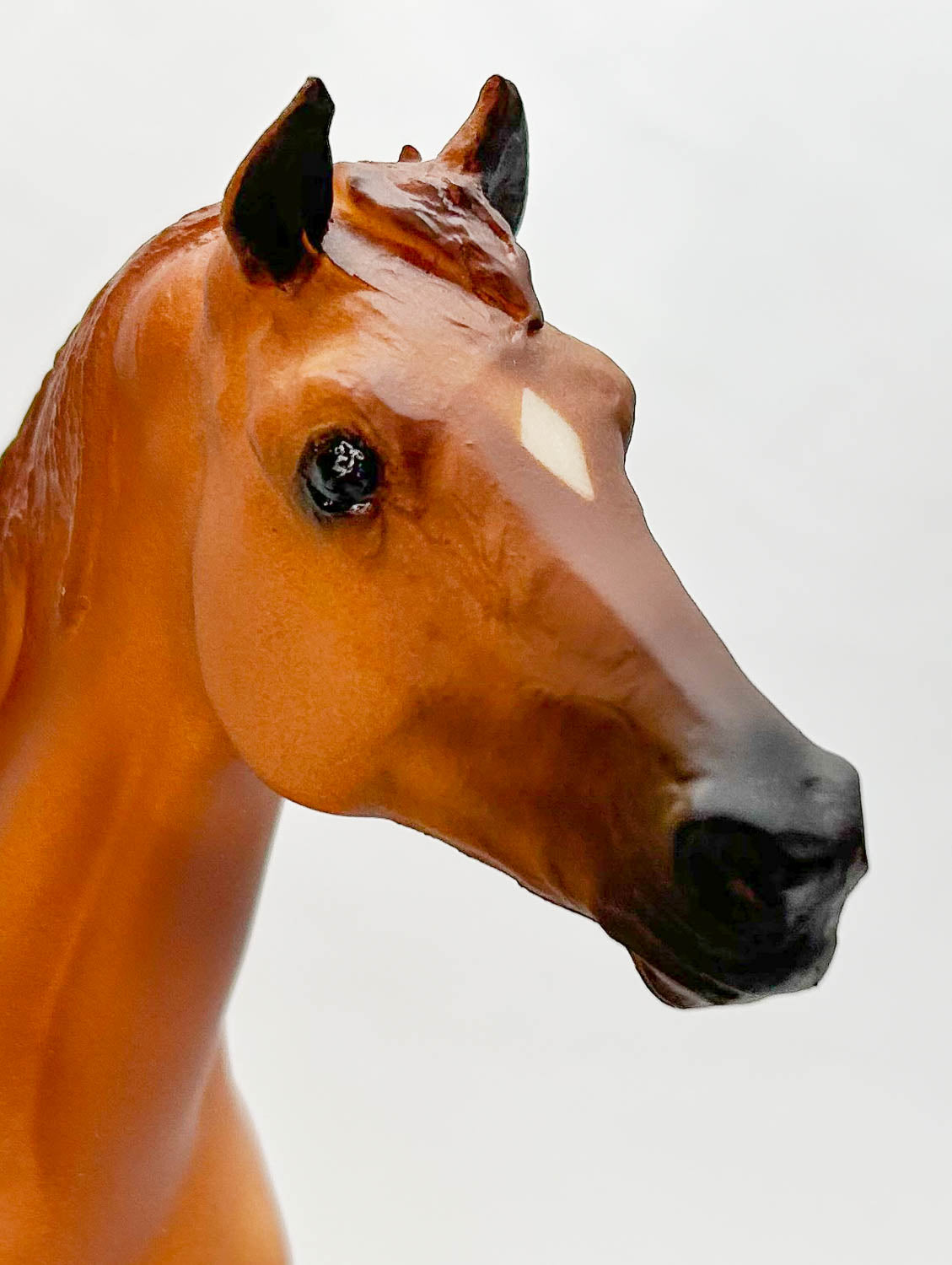 San Domingo ~ Pilgrim - "The Horse Whisperer"