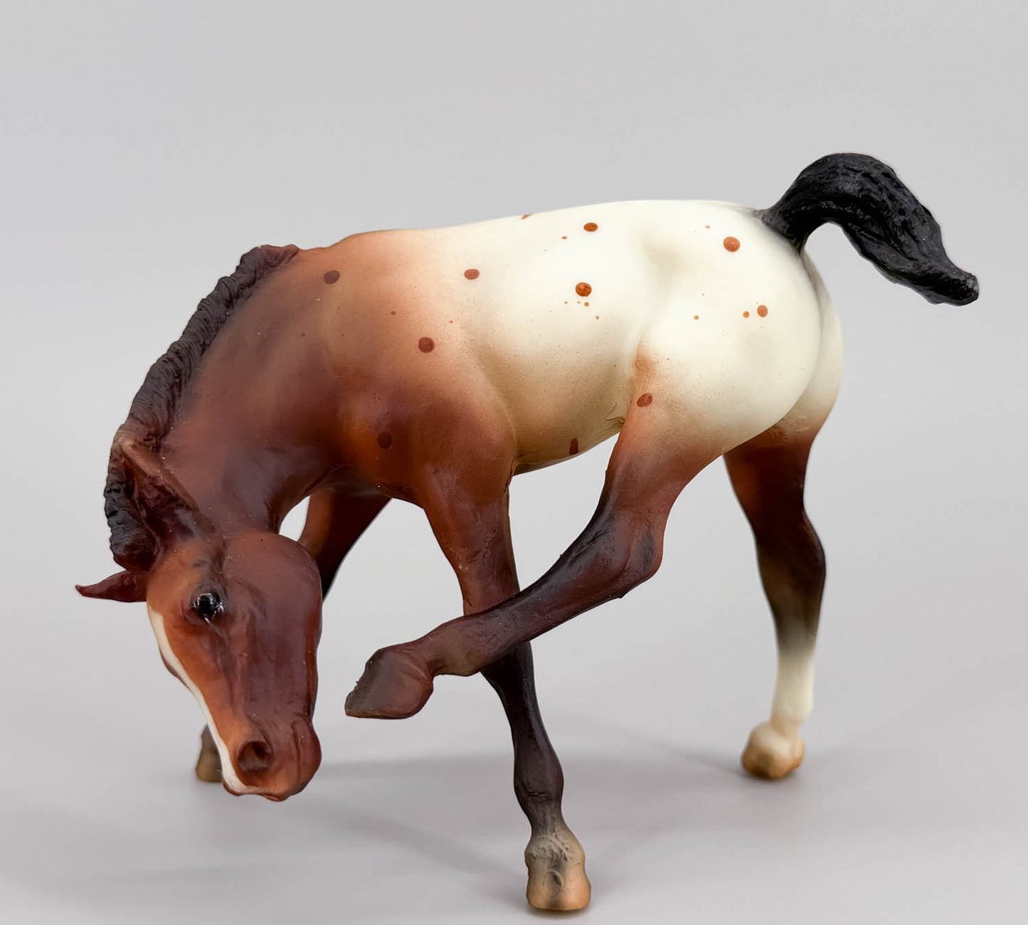 Scratching Foals ~ Buster - JAH SR