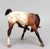 Scratching Foals ~ Buster - JAH SR