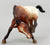 Scratching Foals ~ Buster - JAH SR