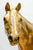 Secretariat - Gold Secretariat - Signed