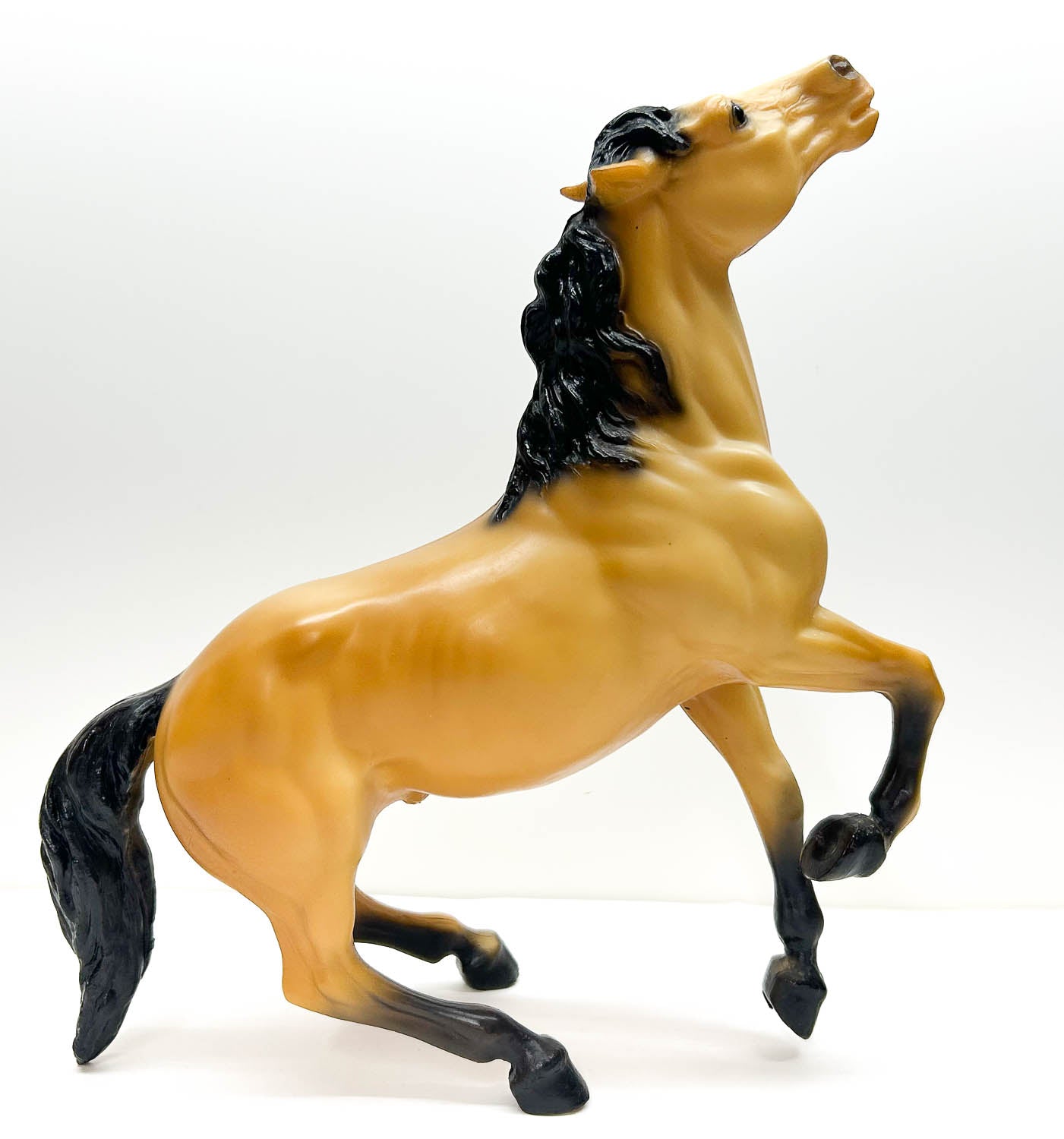 Semi-Rearing Mustang ~ Diablo, Buckskin