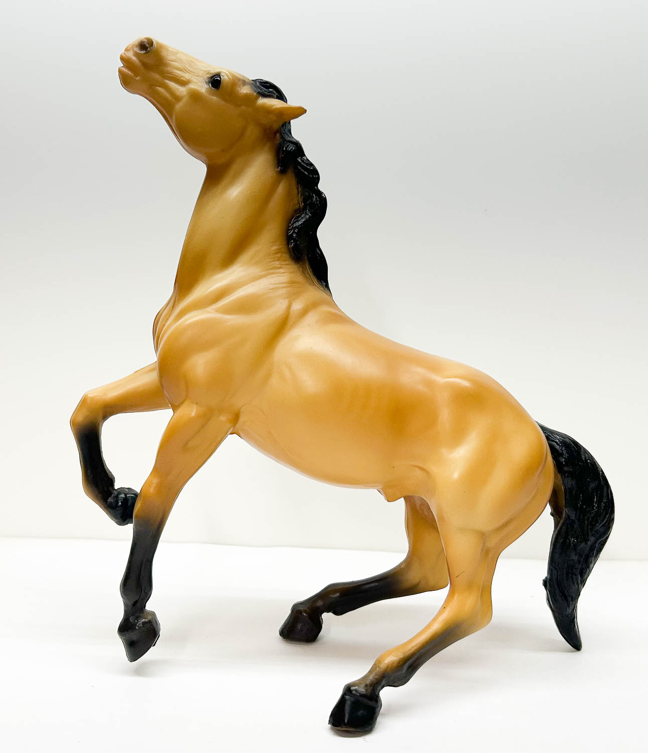 Semi-Rearing Mustang ~ Diablo, Buckskin