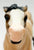 Semi-Rearing Mustang ~ Melbourne the Brumby - Breyerfest 2008 SR