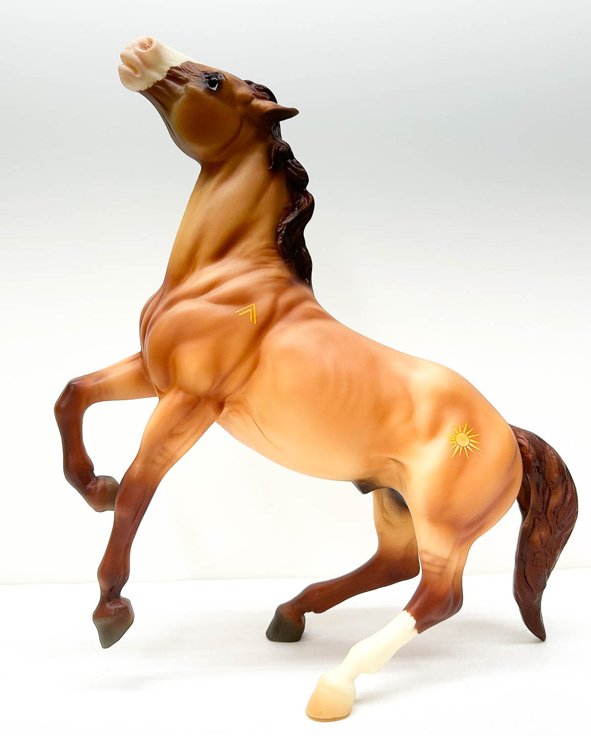 Semi-Rearing Mustang ~ Warrior, Colonial Spanish Mustang - Mid-States Dist SR