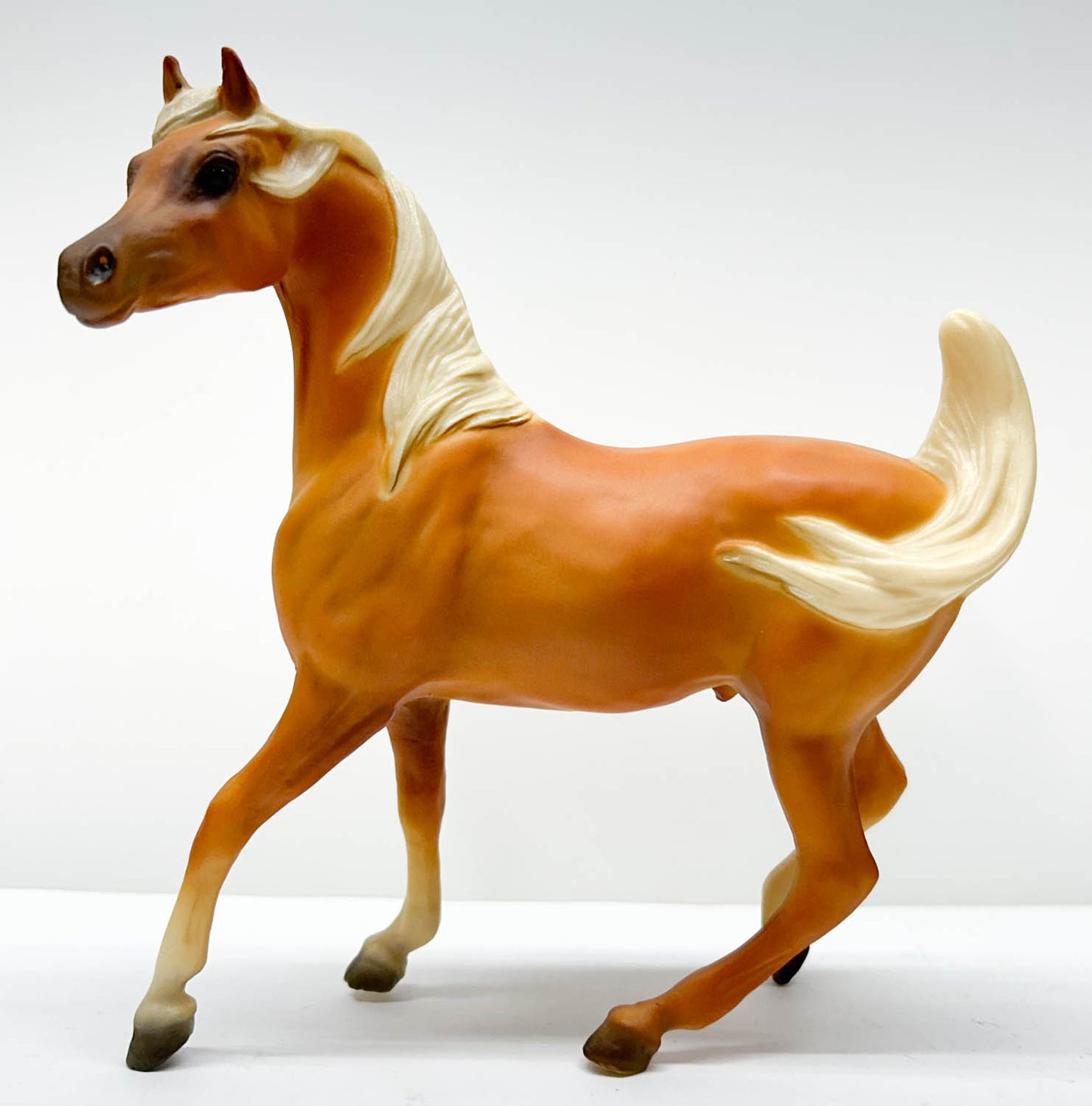 Sham ~ Prancing Arabian Stallion, Palomino (shrinky)