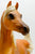 Sham ~ Prancing Arabian Stallion, Palomino (shrinky)