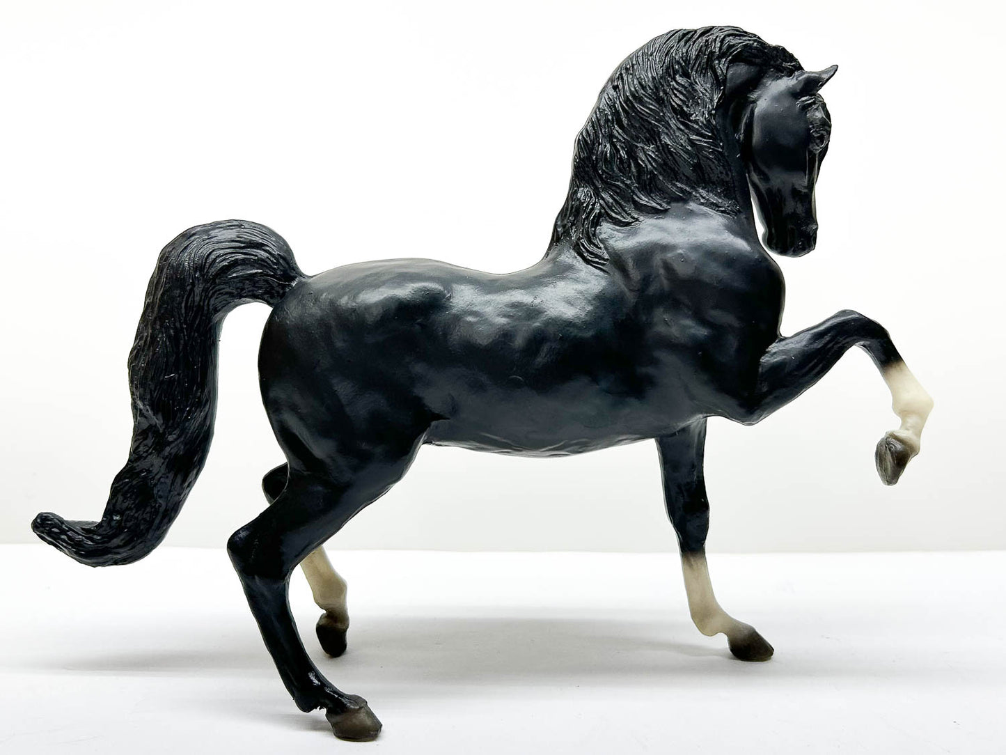 Sherman Morgan ~ Prancing Morgan