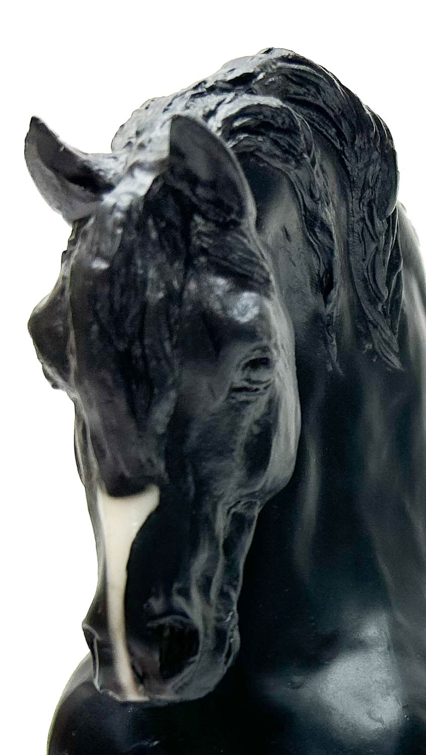 Sherman Morgan ~ Prancing Morgan