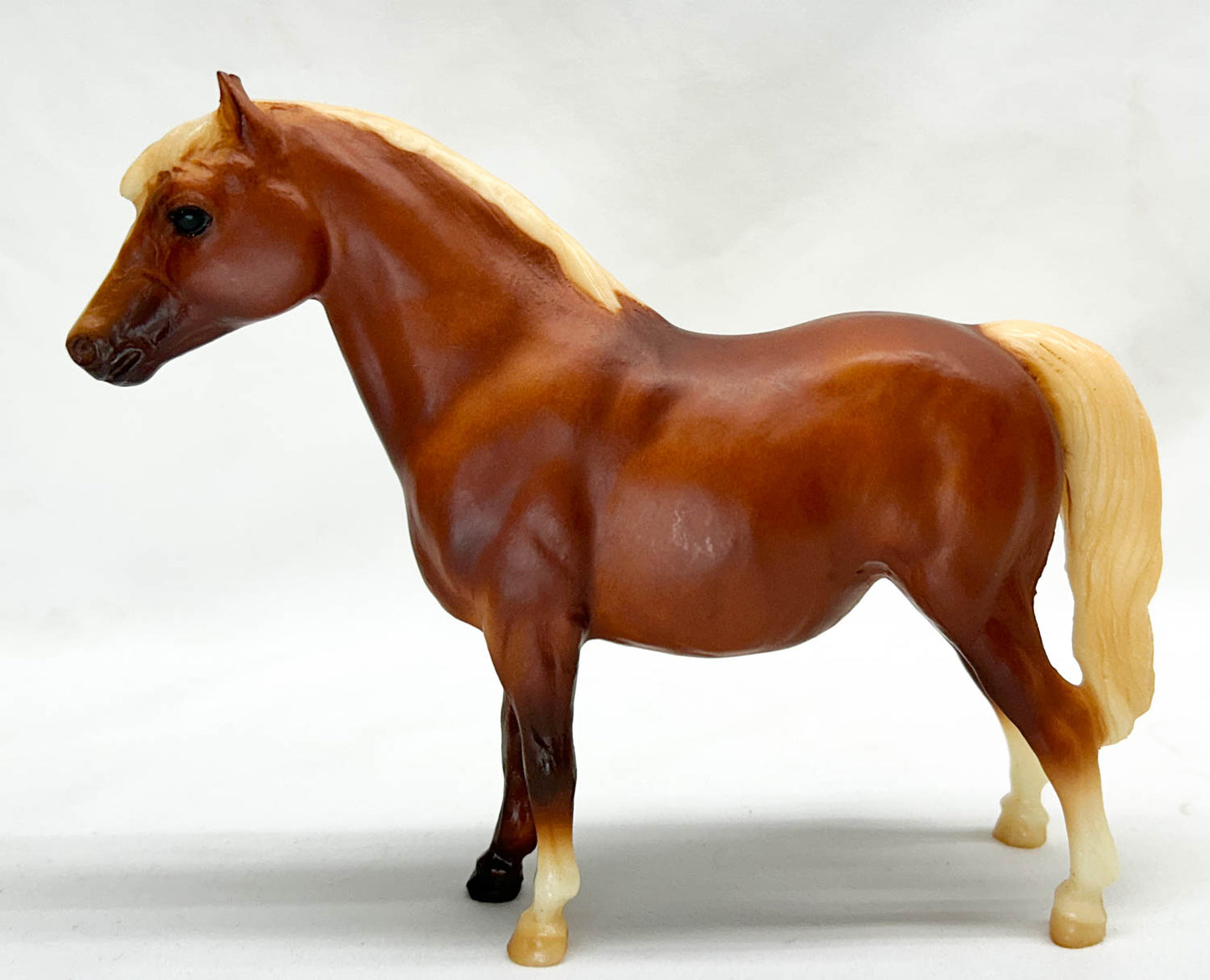 Shetland Pony, Chestnut