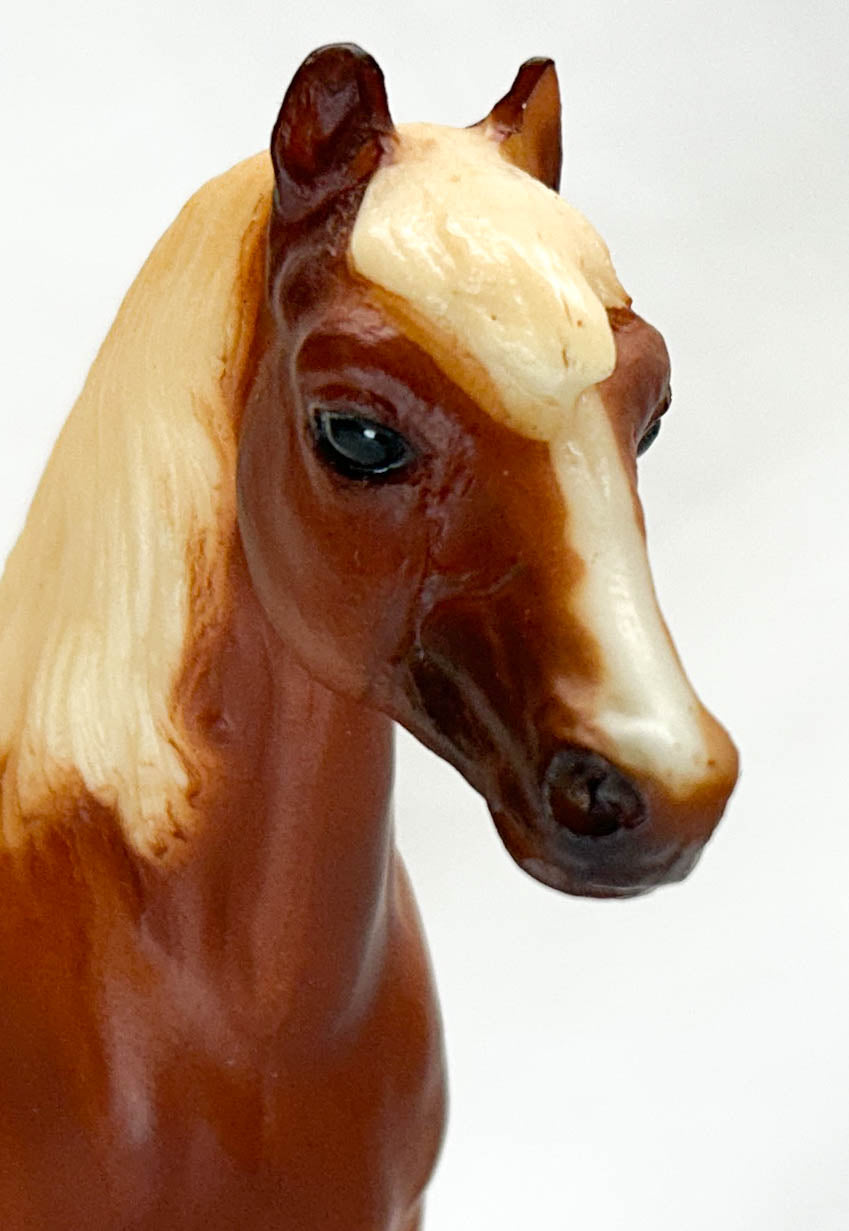Shetland Pony, Chestnut