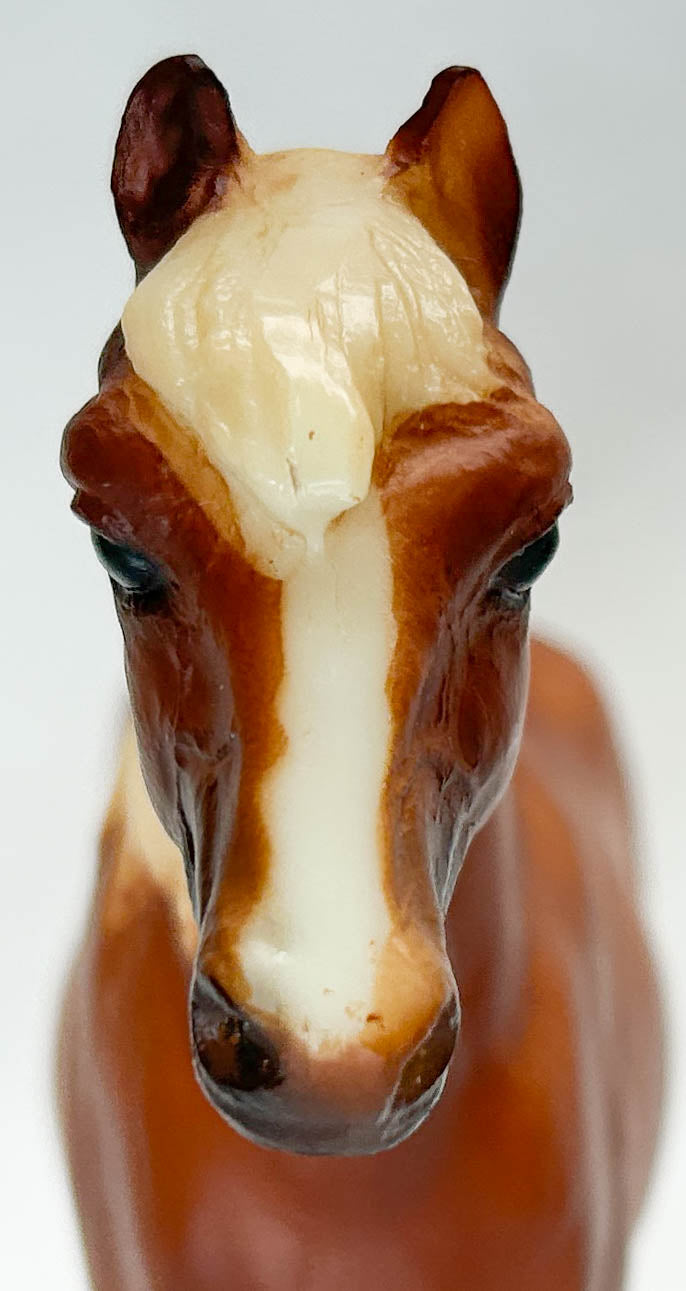 Shetland Pony, Chestnut