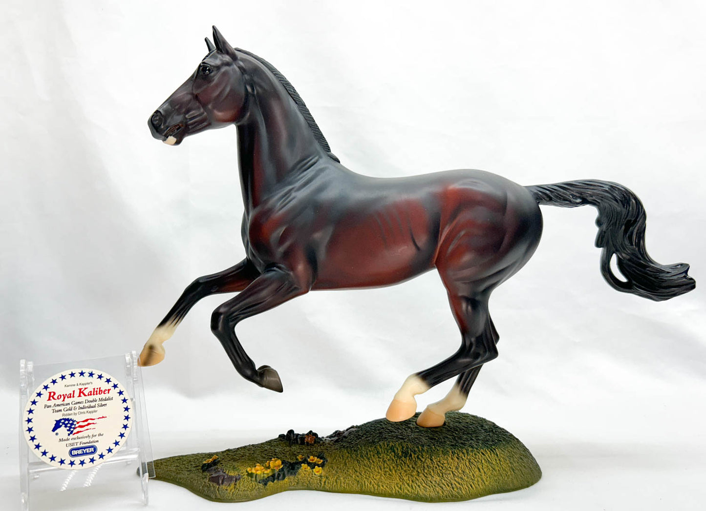 Show Jumping Warmblood ~ Royal Kalibur - USET Festival of Champions