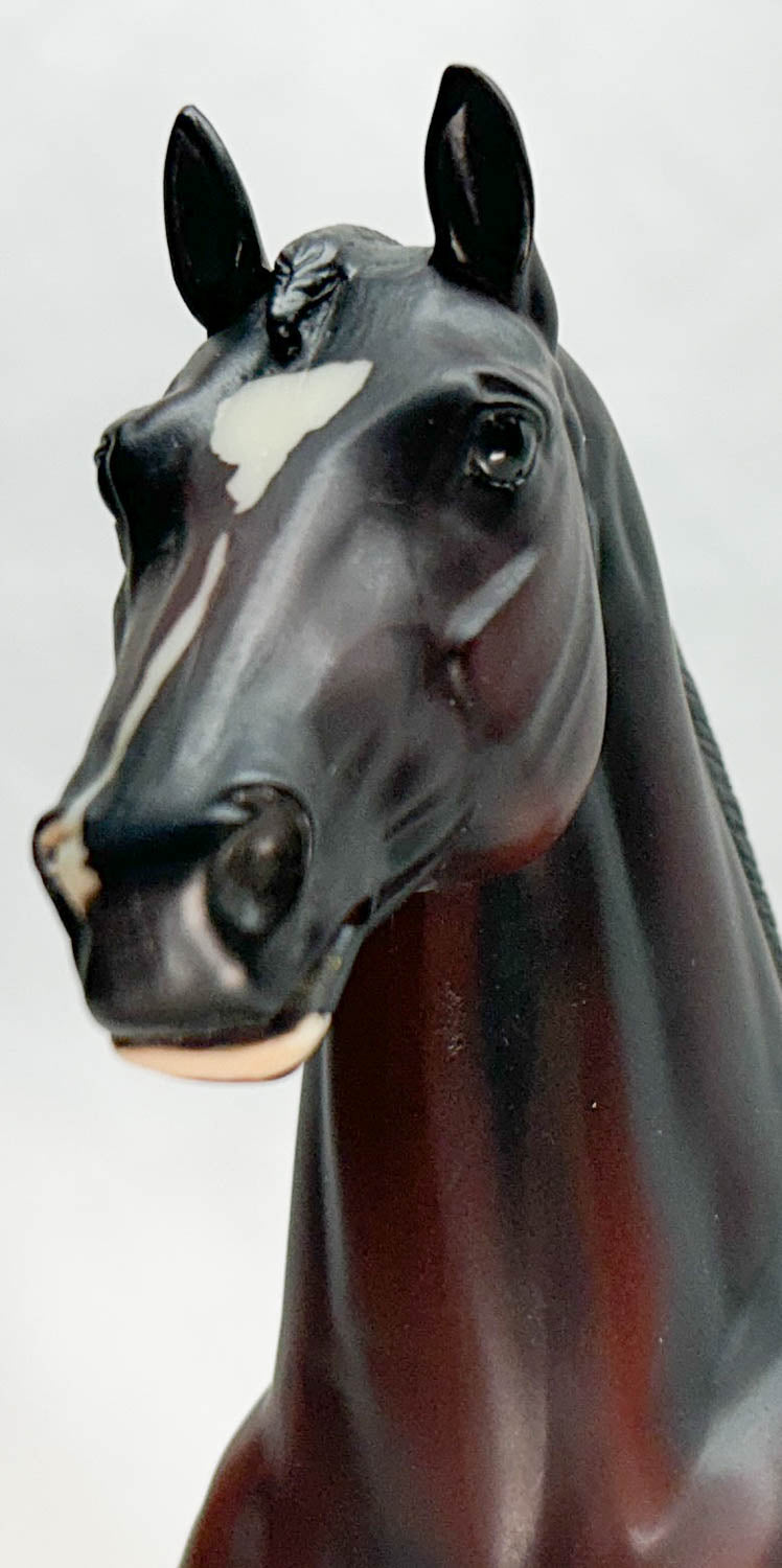 Show Jumping Warmblood ~ Royal Kalibur - USET Festival of Champions