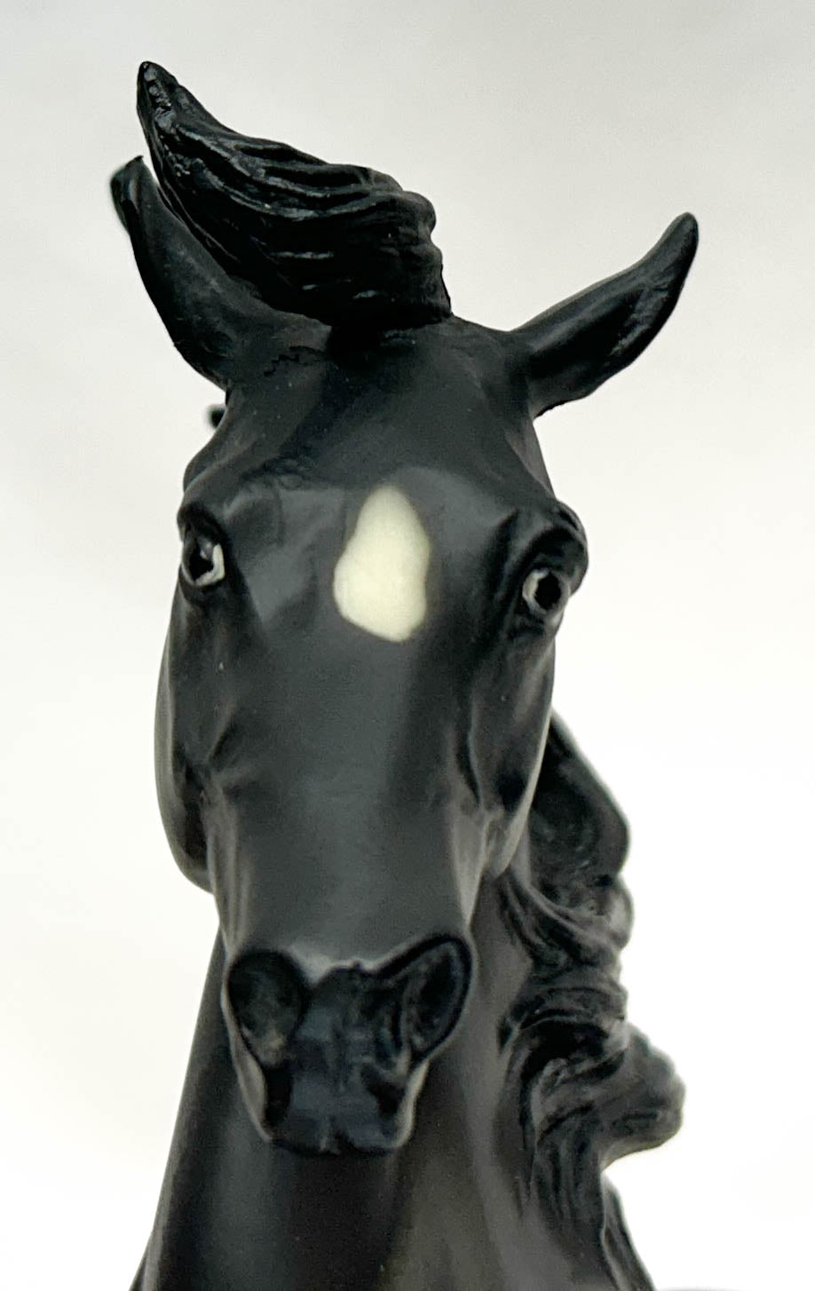 Silver ~ Black Beauty - QVC SR