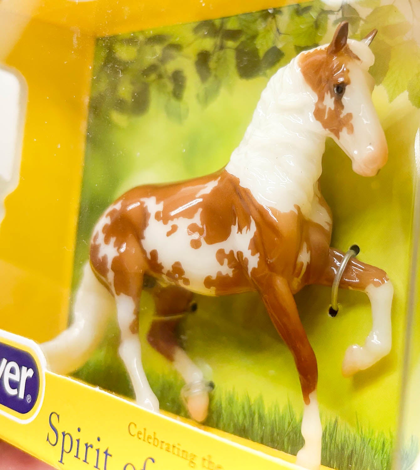 Alborozo ~ Valerio, Palomino Pinto - SM Club