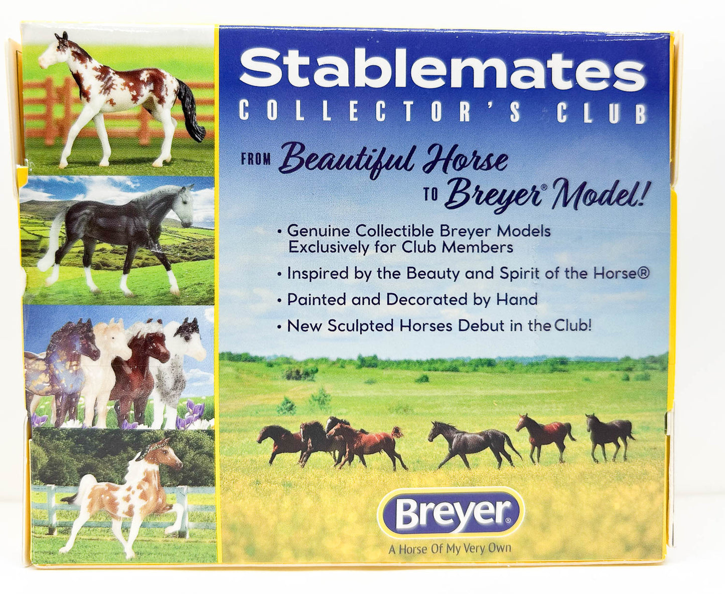 Alborozo ~ Valerio, Palomino Pinto - SM Club