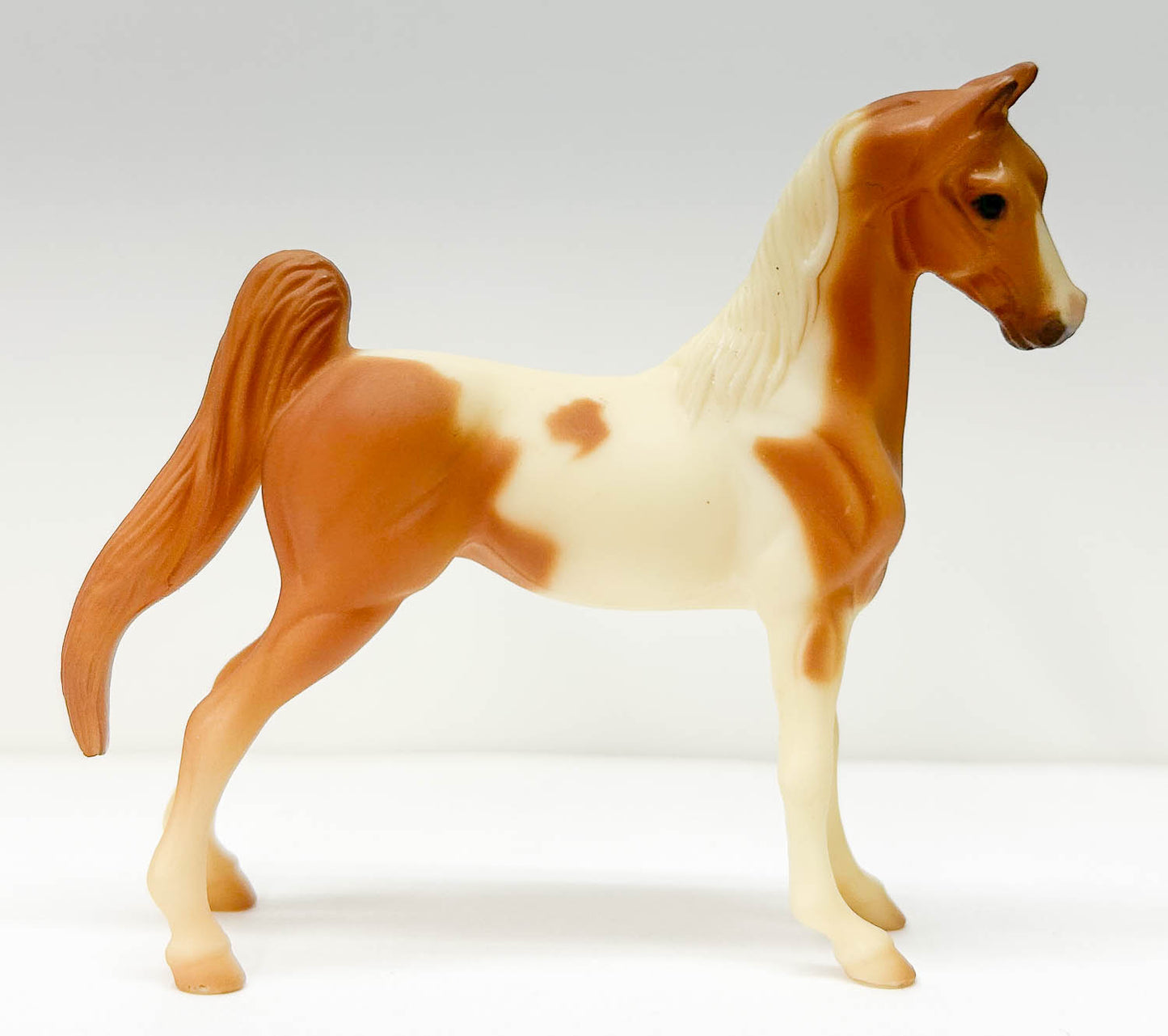 American Saddlebred, Chestnut Pinto