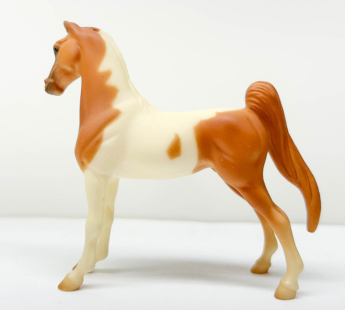 American Saddlebred, Chestnut Pinto