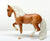Andalusian ~ Tucker - Horses of Graceland