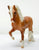 Andalusian ~ Tucker - Horses of Graceland