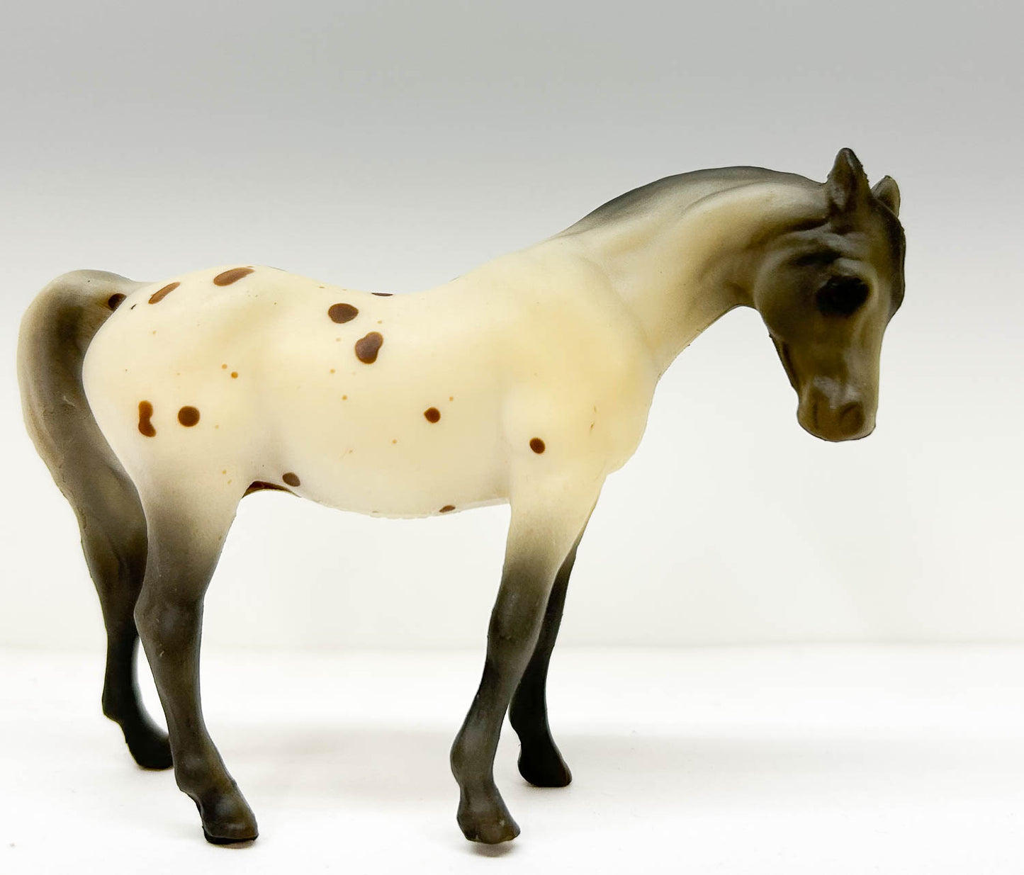 Arabian Mare, Leopard Appaloosa - JC Penney SR