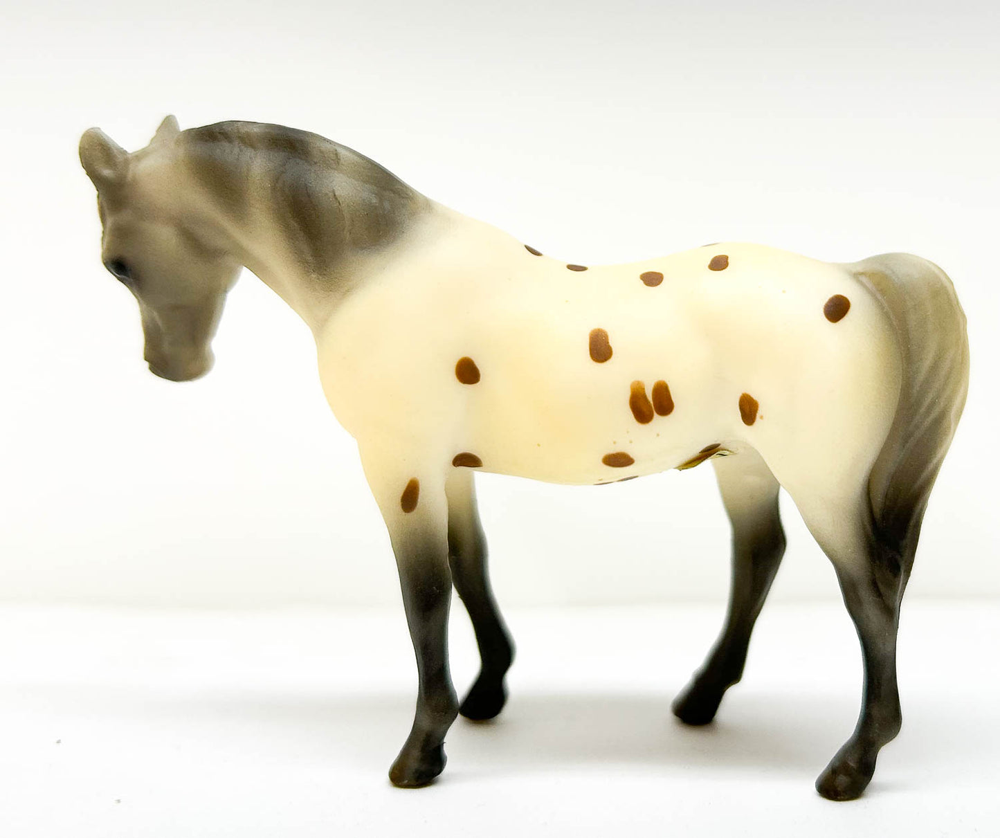 Arabian Mare, Leopard Appaloosa - JC Penney SR