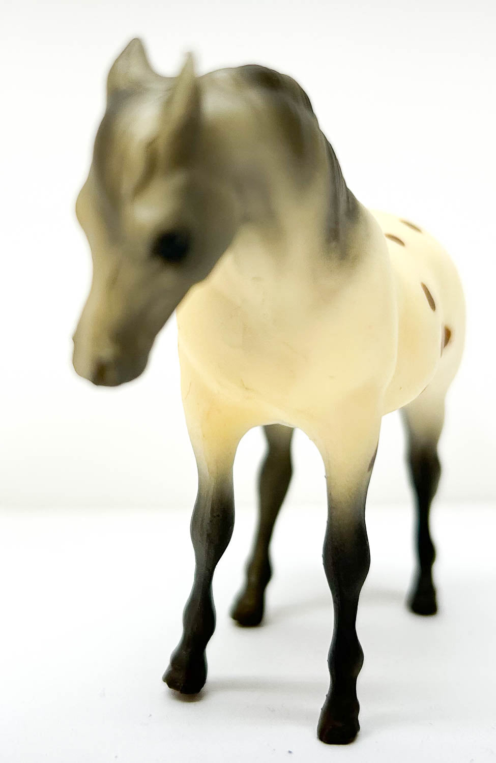 Arabian Mare, Leopard Appaloosa - JC Penney SR
