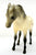 Arabian Mare, Leopard Appaloosa - JC Penney SR