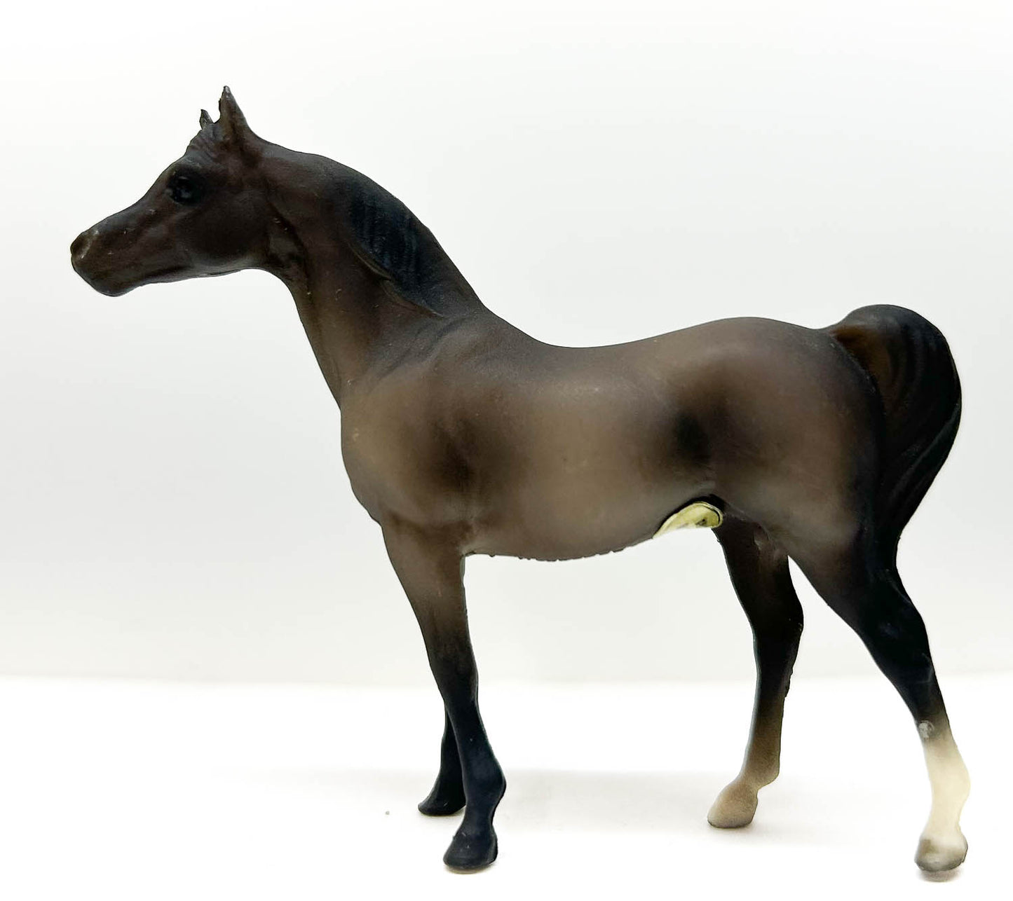 Arabian Stallion, Dark Rose Grey - JC Penney SR