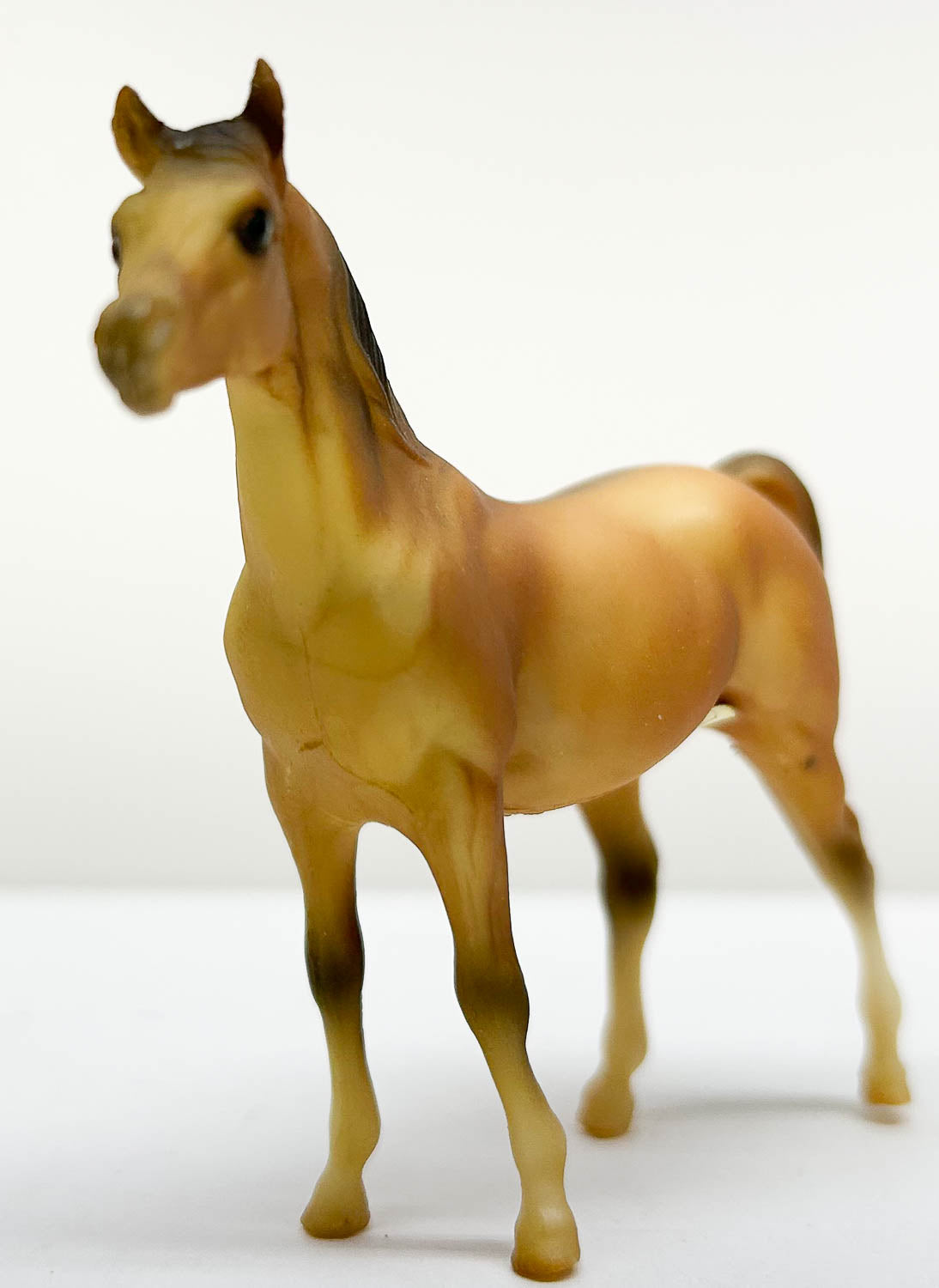 Arabian Stallion, Red Dun - JC Penney SR