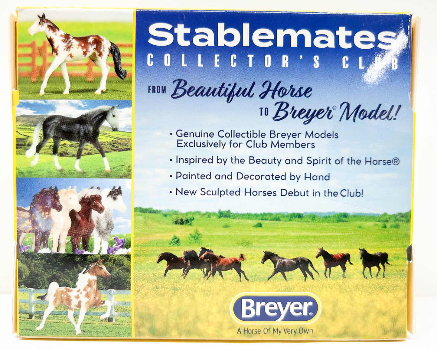 Arabian Stallion ~ Sultan - 2020 SM Club