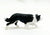 Border Collie, Black and White (Stablemates)
