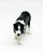 Border Collie, Black and White (Stablemates)
