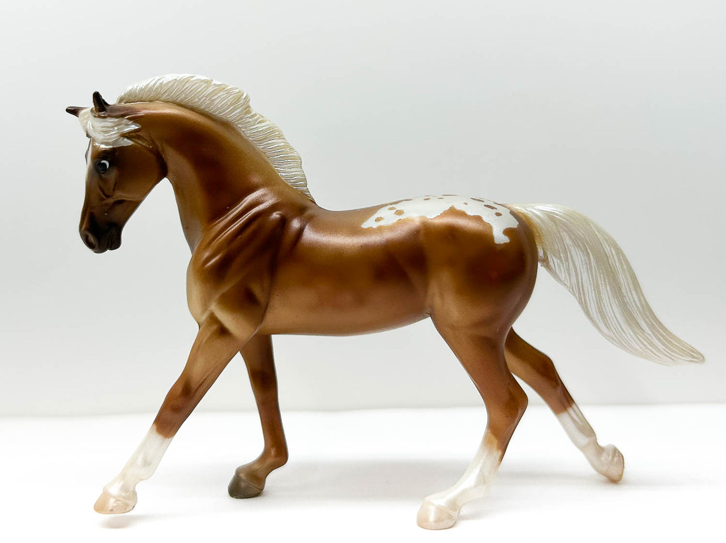 Cantering Warmblood, Palomino Appaloosa - JC Penney SR