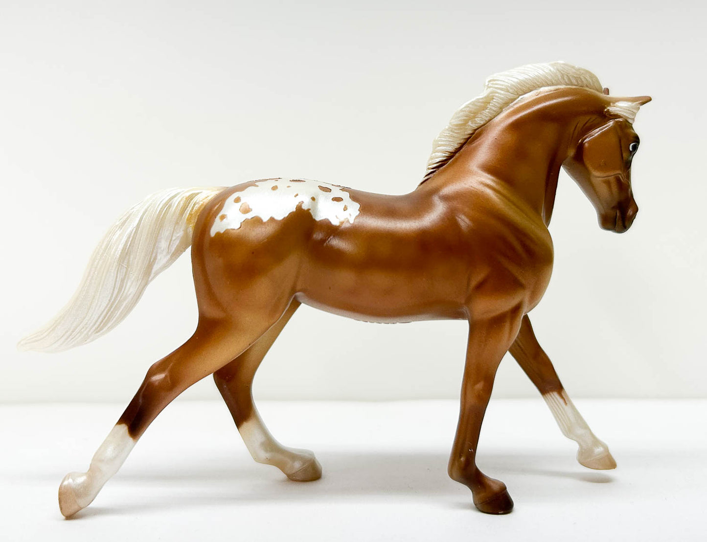 Cantering Warmblood, Palomino Appaloosa - JC Penney SR