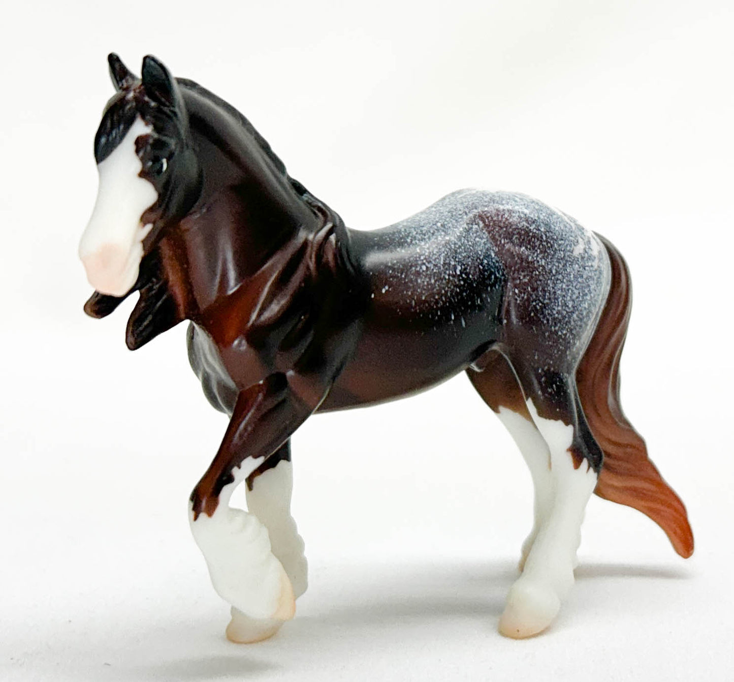 Cob ~ Tushar - Breyerfest SR