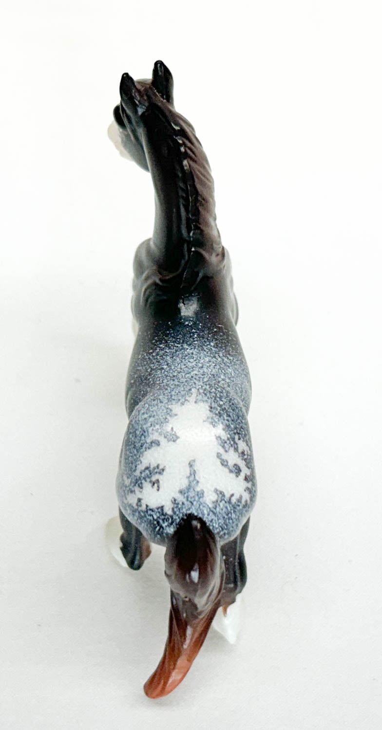 Cob ~ Tushar - Breyerfest SR