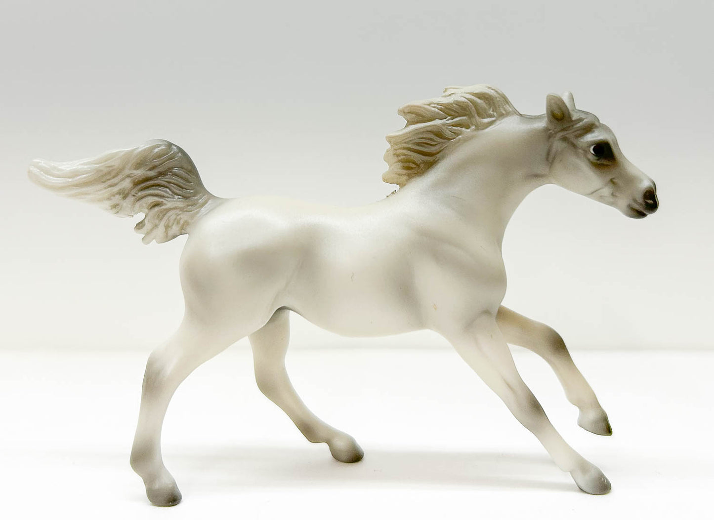 Endurance Arabian, Light Grey -  JC Penney SR
