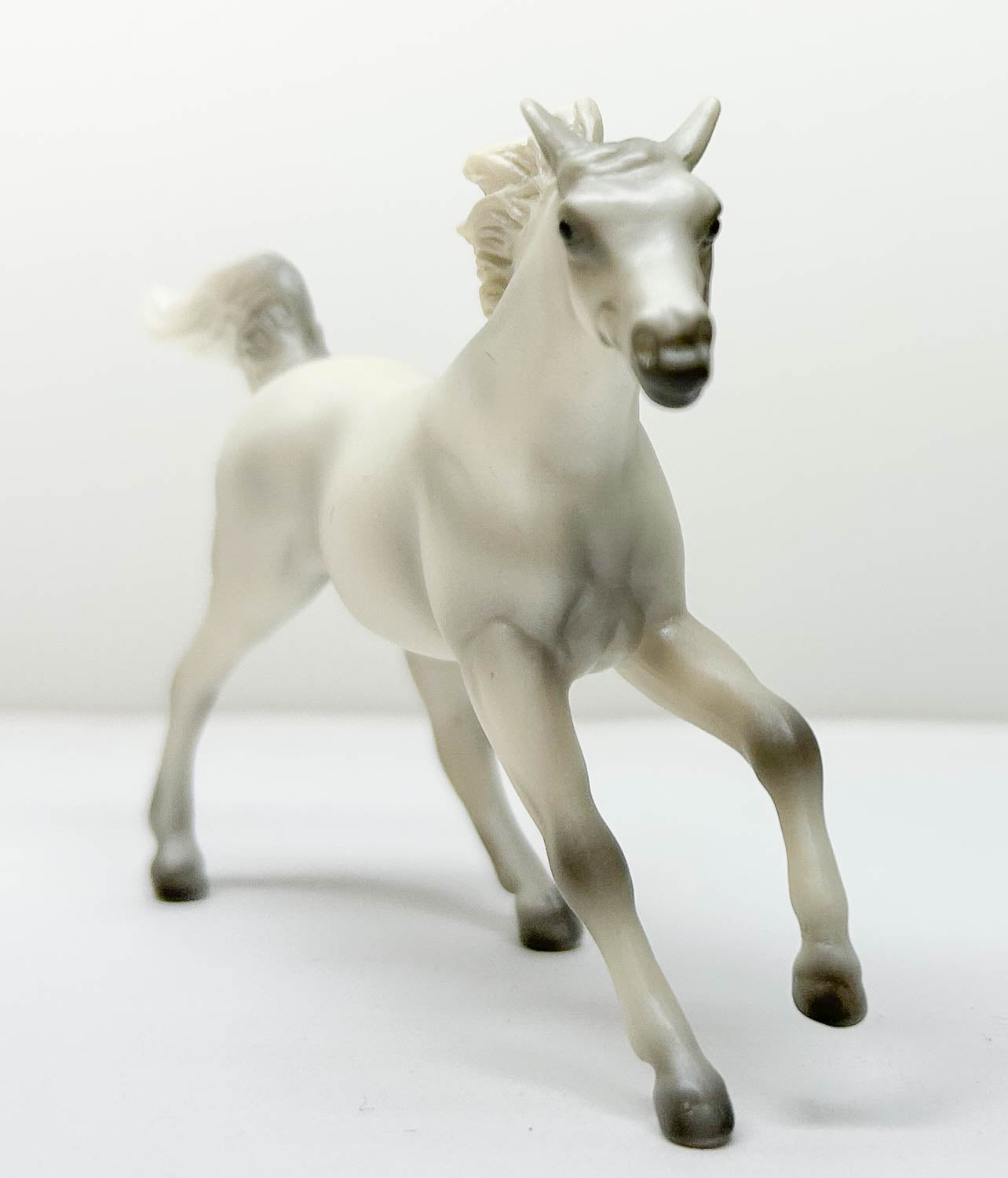 Endurance Arabian, Light Grey -  JC Penney SR