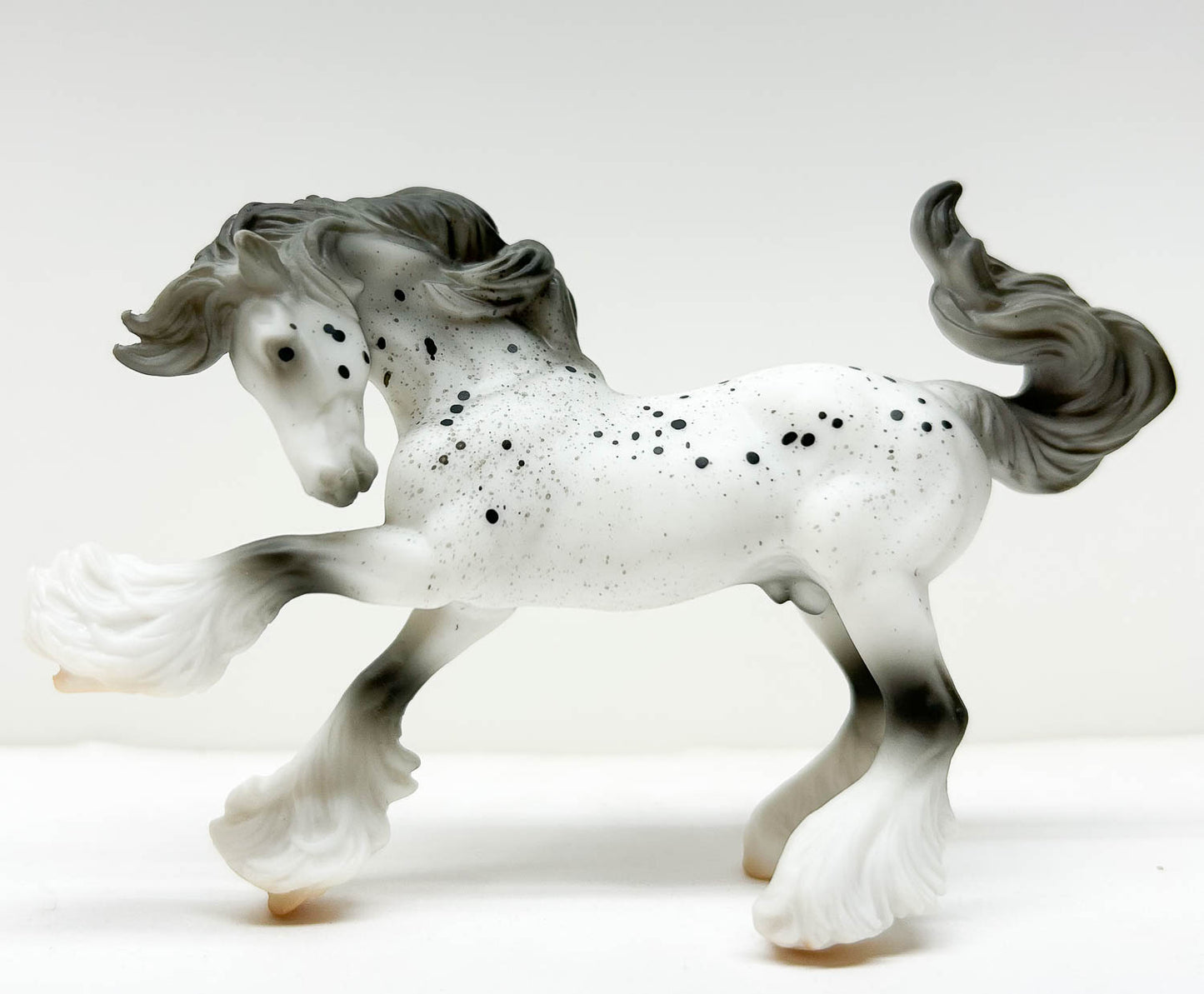 Mini Gypsy Vanner, Leopard Appaloosa