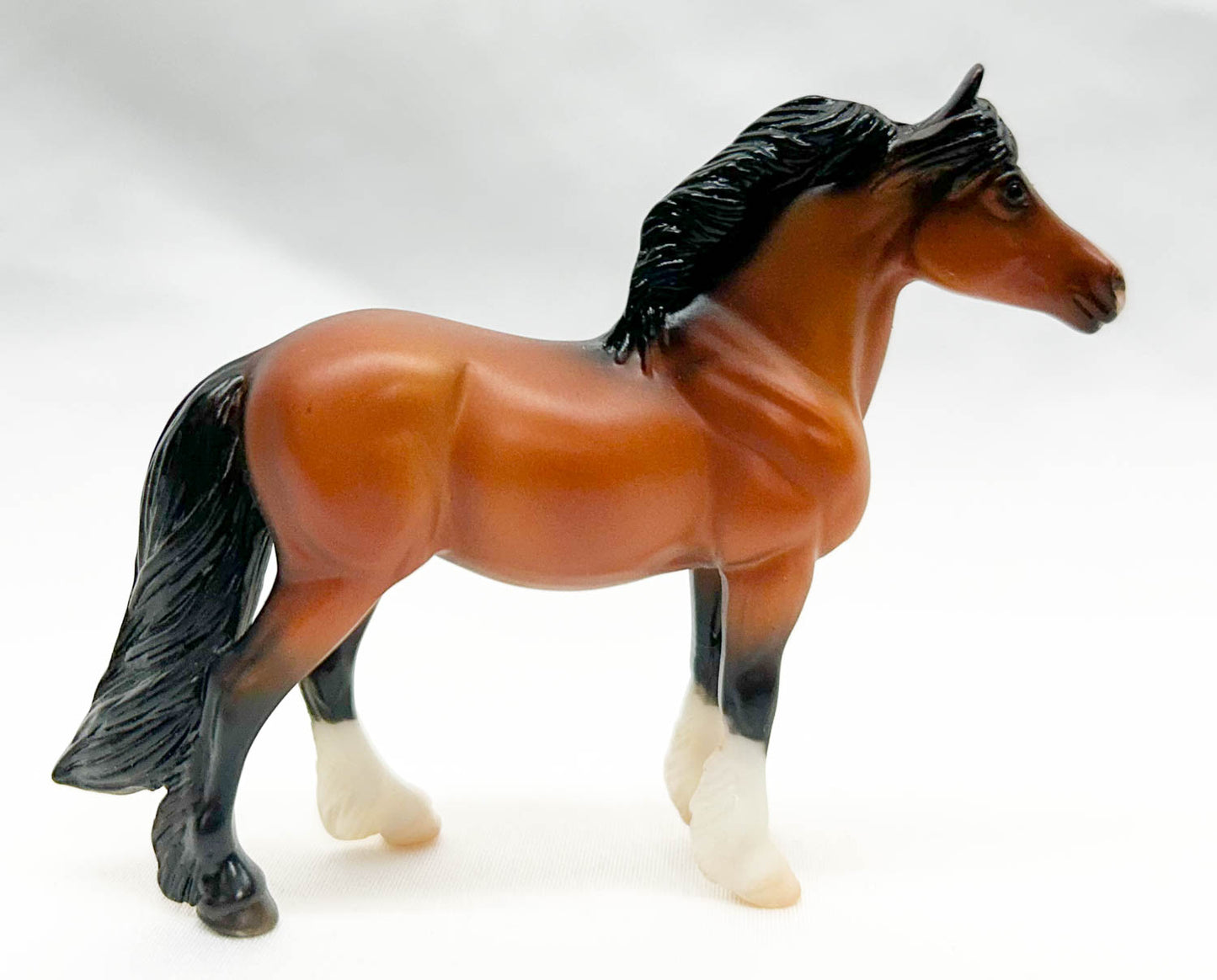 Highland Pony, Bay - Target SR
