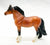Highland Pony, Bay - Target SR