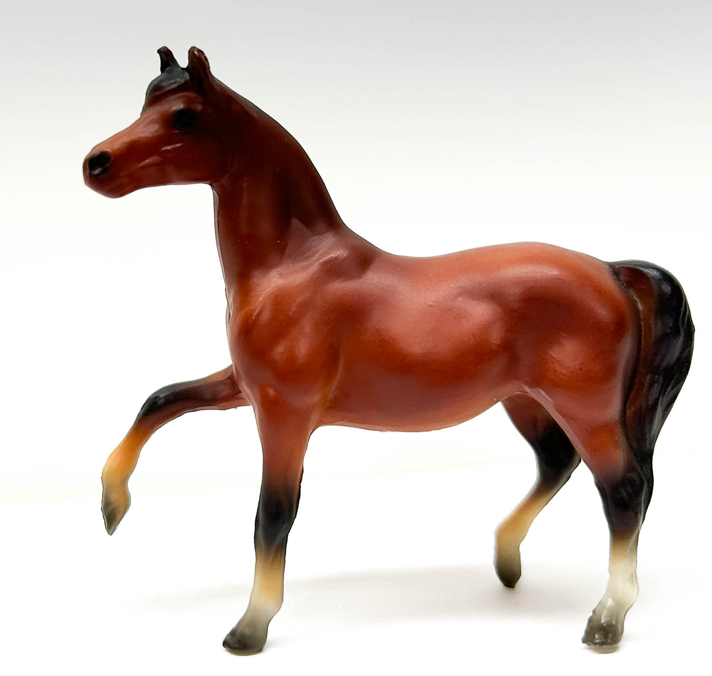 Morgan Mare, Red Bay - Sears SR