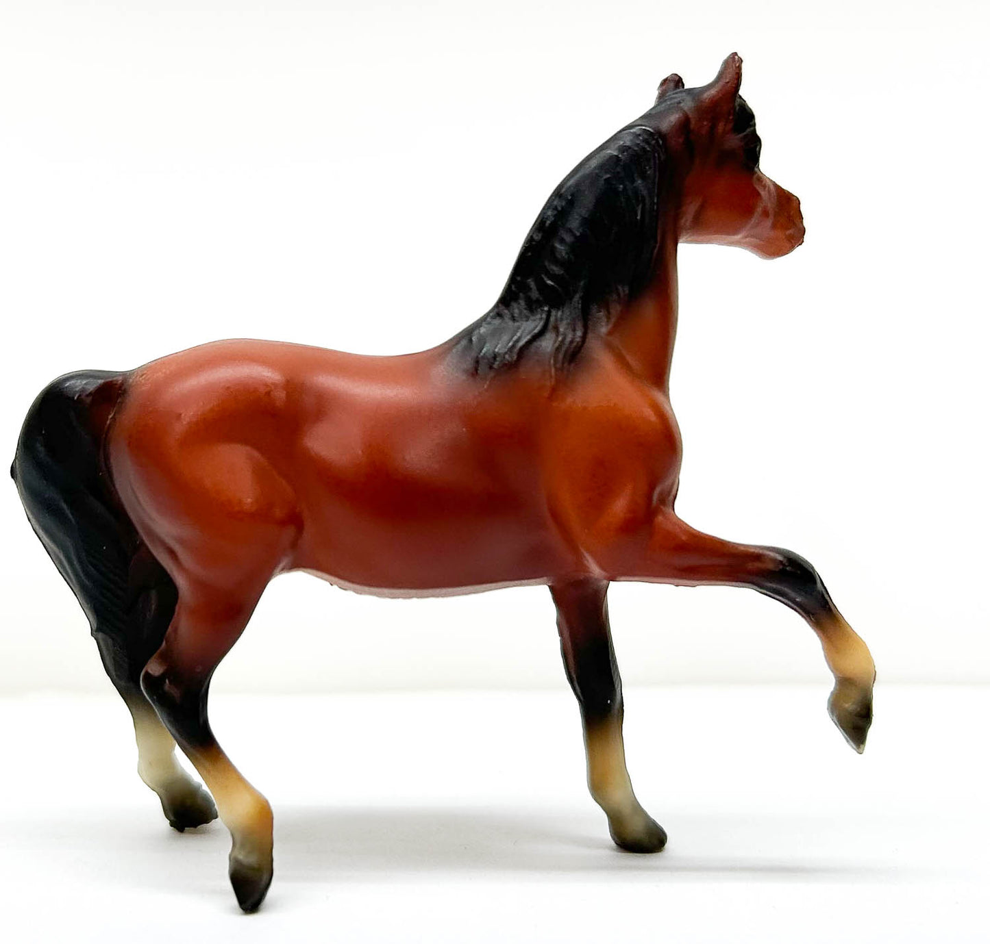 Morgan Mare, Red Bay - Sears SR