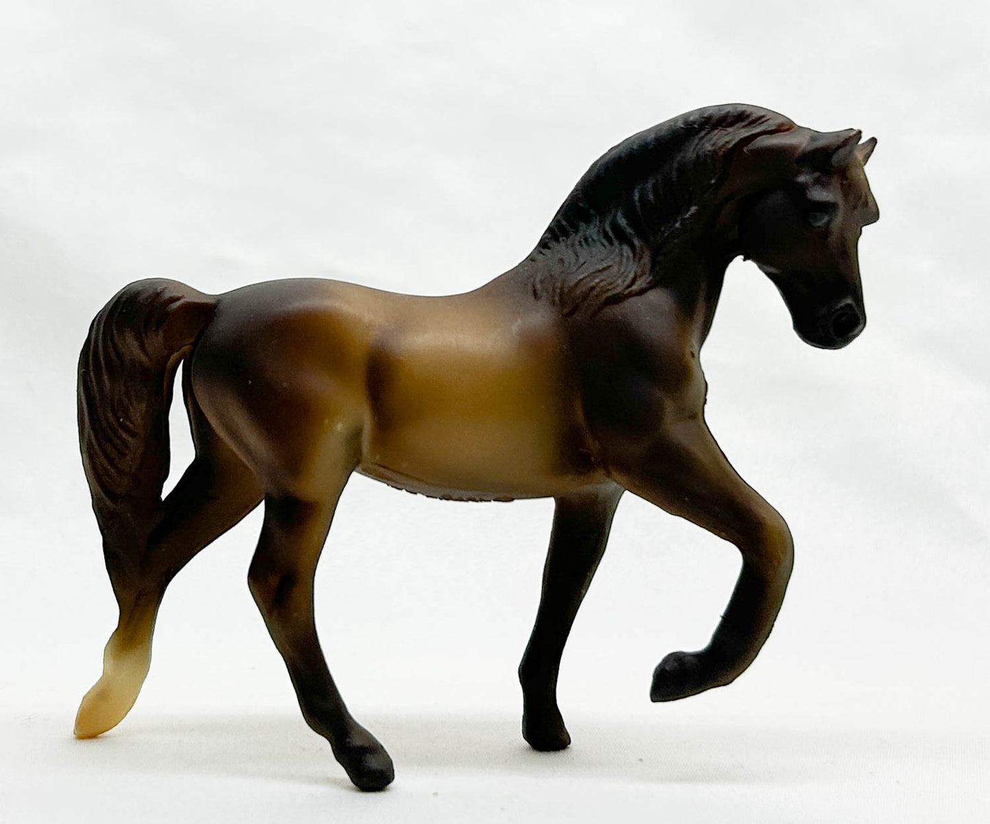 Morgan Stallion, Liver Chestnut - JC Penney SR