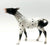 Mule, Black Appaloosa