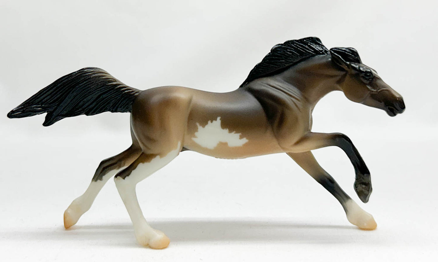 Mustang, Dun Pinto - 2009 Target SR