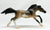 Mustang, Dun Pinto - 2009 Target SR